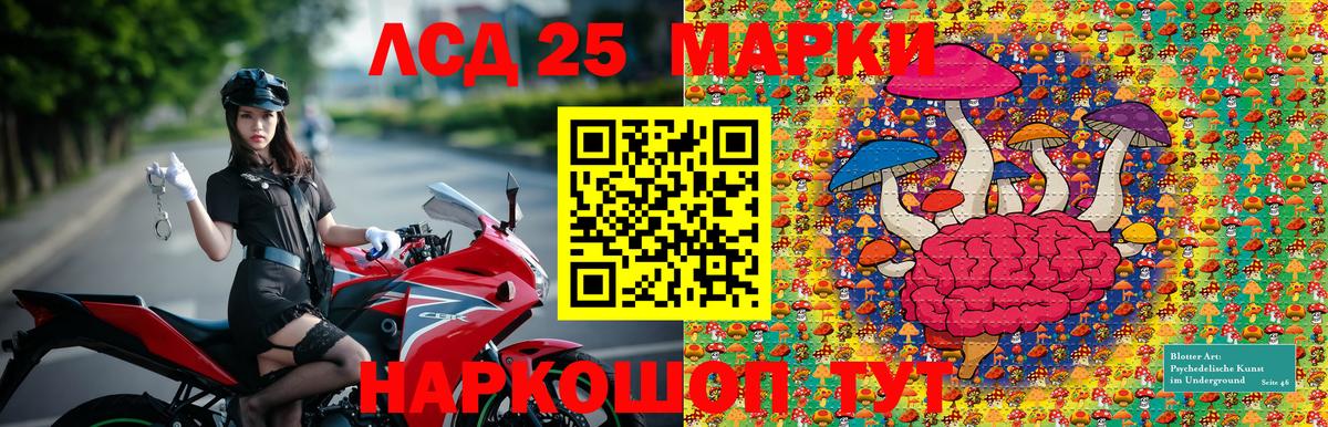Наркотические марки 1500мкг  Наркотические марки 1500мкг  Вход с VPN  Мелеуз 